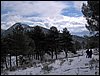 Excursi�n a la Cueva de los M�rmoles en la Sierra de Hu�tor - 25 de febrero de 2006