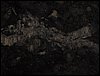 Excursi�n a la Cueva de los M�rmoles en la Sierra de Hu�tor - 25 de febrero de 2006