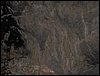 Excursi�n a la Cueva de los M�rmoles en la Sierra de Hu�tor - 25 de febrero de 2006