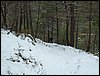 Excursi�n a la Cueva de los M�rmoles en la Sierra de Hu�tor - 25 de febrero de 2006