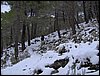 Excursi�n a la Cueva de los M�rmoles en la Sierra de Hu�tor - 25 de febrero de 2006