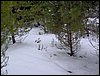 Excursi�n a la Cueva de los M�rmoles en la Sierra de Hu�tor - 25 de febrero de 2006