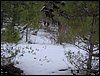 Excursi�n a la Cueva de los M�rmoles en la Sierra de Hu�tor - 25 de febrero de 2006