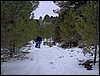Excursi�n a la Cueva de los M�rmoles en la Sierra de Hu�tor - 25 de febrero de 2006