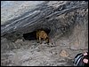 Excursi�n a la Cueva de los M�rmoles en la Sierra de Hu�tor - 25 de febrero de 2006