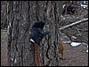 Excursi�n a la Cueva de los M�rmoles en la Sierra de Hu�tor - 25 de febrero de 2006