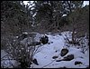 Excursi�n a la Cueva de los M�rmoles en la Sierra de Hu�tor - 25 de febrero de 2006