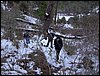 Excursi�n a la Cueva de los M�rmoles en la Sierra de Hu�tor - 25 de febrero de 2006