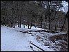 Excursi�n a la Cueva de los M�rmoles en la Sierra de Hu�tor - 25 de febrero de 2006