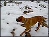 Excursi�n a la Cueva de los M�rmoles en la Sierra de Hu�tor - 25 de febrero de 2006