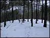 Excursi�n a la Cueva de los M�rmoles en la Sierra de Hu�tor - 25 de febrero de 2006