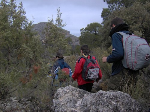 Excursi�n al Cerro del Corzo en la Sierra de Hu�tor - 4 de marzo de 2006 - Foto 16