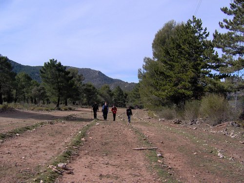 Excursi�n al Cerro del Corzo en la Sierra de Hu�tor - 4 de marzo de 2006 - Foto 46