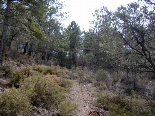 Excursin al Cerro del Corzo en la Sierra de Hutor - 4 de marzo de 2006 - Foto 49