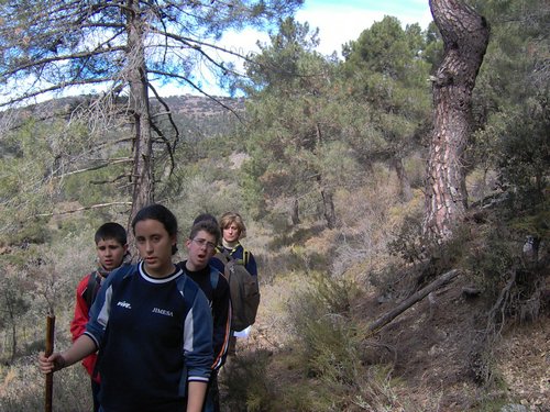 Excursi�n al Cerro del Corzo en la Sierra de Hu�tor - 4 de marzo de 2006 - Foto 51
