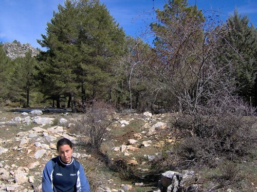 Excursi�n al Cerro del Corzo en la Sierra de Hu�tor - 4 de marzo de 2006 - Foto 53