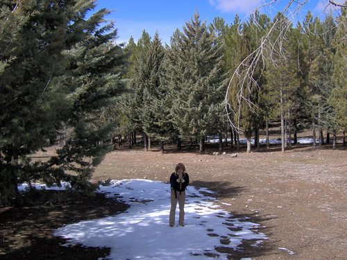Excursi�n al Cerro del Corzo en la Sierra de Hu�tor - 4 de marzo de 2006 - Foto 58