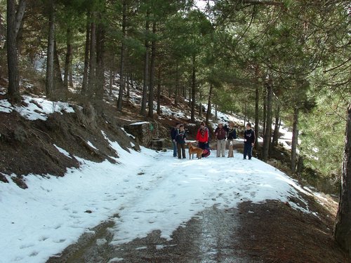 Excursin al Cerro del Corzo en la Sierra de Hutor - 4 de marzo de 2006 - Foto 67