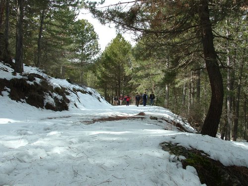 Excursin al Cerro del Corzo en la Sierra de Hutor - 4 de marzo de 2006 - Foto 68
