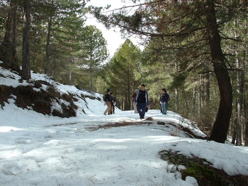Excursi�n al Cerro del Corzo en la Sierra de Hu�tor - 4 de marzo de 2006 - Foto 69