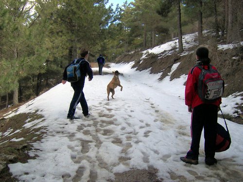 Excursi�n al Cerro del Corzo en la Sierra de Hu�tor - 4 de marzo de 2006 - Foto 70