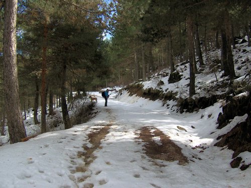 Excursin al Cerro del Corzo en la Sierra de Hutor - 4 de marzo de 2006 - Foto 72