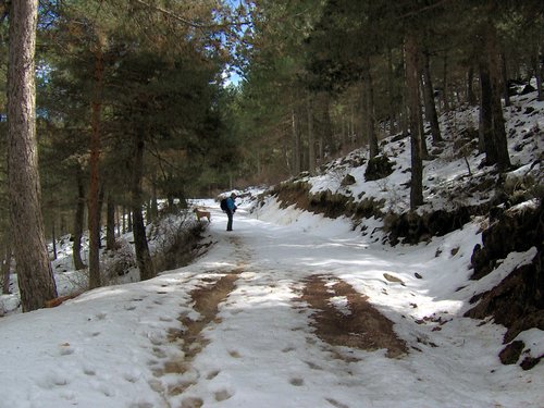 Excursi�n al Cerro del Corzo en la Sierra de Hu�tor - 4 de marzo de 2006 - Foto 72