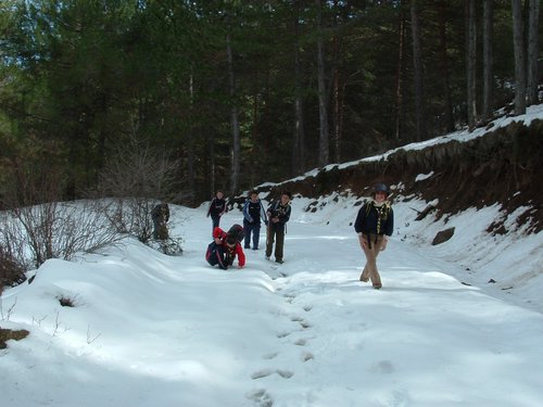 Excursi�n al Cerro del Corzo en la Sierra de Hu�tor - 4 de marzo de 2006 - Foto 75