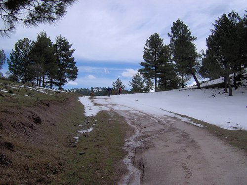 Excursin al Cerro del Corzo en la Sierra de Hutor - 4 de marzo de 2006 - Foto 88