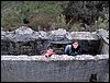 Excursi�n al Cerro del Corzo en la Sierra de Hu�tor - 4 de marzo de 2006