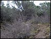 Excursi�n al Cerro del Corzo en la Sierra de Hu�tor - 4 de marzo de 2006