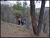 Excursi�n al Cerro del Corzo en la Sierra de Hu�tor - 4 de marzo de 2006