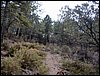 Excursi�n al Cerro del Corzo en la Sierra de Hu�tor - 4 de marzo de 2006