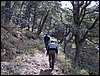 Excursi�n al Cerro del Corzo en la Sierra de Hu�tor - 4 de marzo de 2006