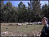 Excursi�n al Cerro del Corzo en la Sierra de Hu�tor - 4 de marzo de 2006