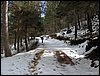 Excursi�n al Cerro del Corzo en la Sierra de Hu�tor - 4 de marzo de 2006