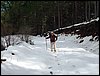 Excursi�n al Cerro del Corzo en la Sierra de Hu�tor - 4 de marzo de 2006