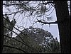 Excursi�n al Cerro del Corzo en la Sierra de Hu�tor - 4 de marzo de 2006