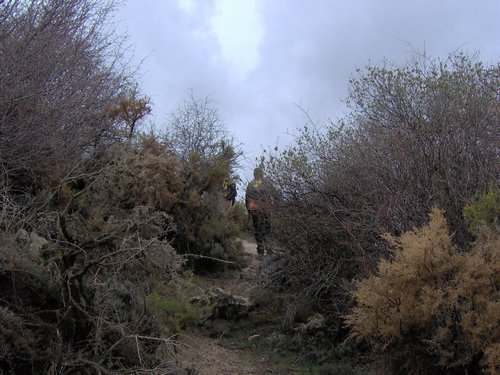 Excursi�n al Pe��n de la Mata el 19 de marzo de 2006
Foto 6