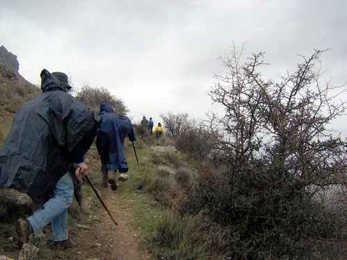 Excursi�n al Pe��n de la Mata el 19 de marzo de 2006
Foto 22