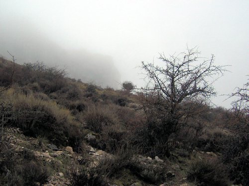 Excursi�n al Pe��n de la Mata el 19 de marzo de 2006
Foto 25