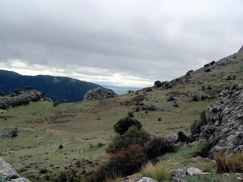 Excursi�n al Pe��n de la Mata el 19 de marzo de 2006
Foto 58