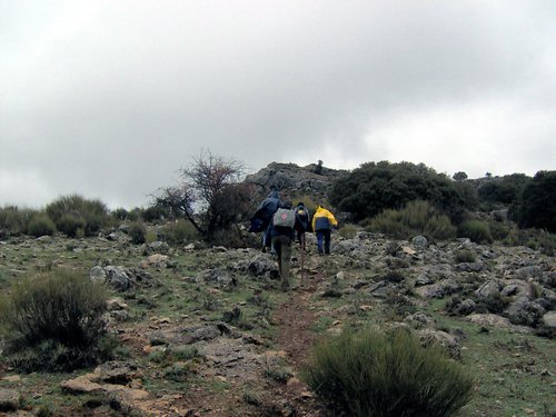 Excursi�n al Pe��n de la Mata el 19 de marzo de 2006
Foto 65