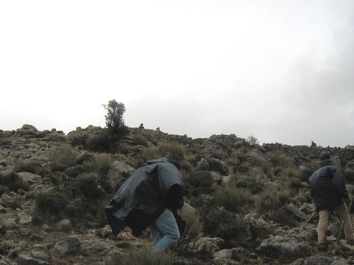 Excursi�n al Pe��n de la Mata el 19 de marzo de 2006
Foto 71