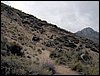 Excursi�n al Pe��n de la Mata el 19 de marzo de 2006