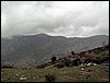 Excursi�n al Pe��n de la Mata el 19 de marzo de 2006