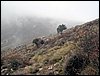 Excursi�n al Pe��n de la Mata el 19 de marzo de 2006