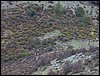 Excursi�n al Pe��n de la Mata el 19 de marzo de 2006