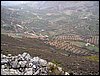 Excursi�n al Pe��n de la Mata el 19 de marzo de 2006