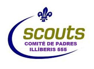 Novedades en la web